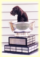 Pup in a trophy