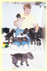 Sharon spending time with the pups in the litterbox.