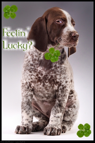 Happy St. Patrick's Day