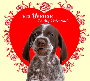 Happy Valetine's Day